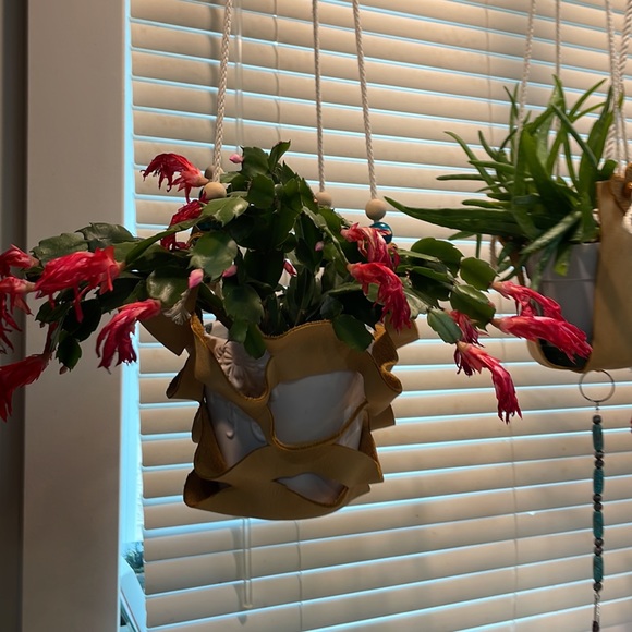 leather plant hangers Custom-made on Vancouver island. Holds 6 to 8 inch pot. - Picture 7 of 12